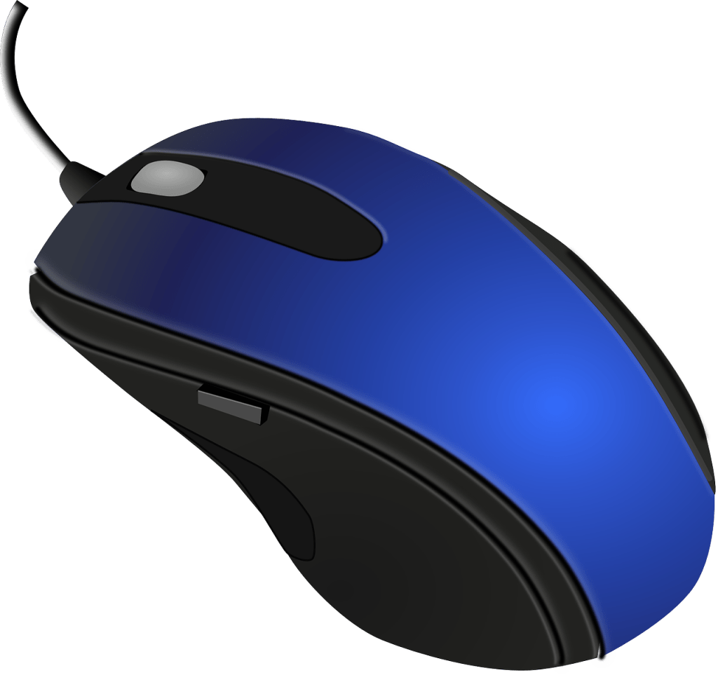 Image of a computer mouse